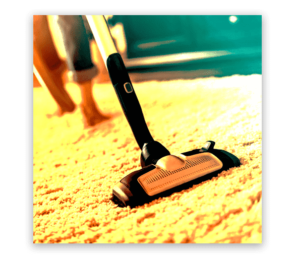 Professional Carpet Cleaning Franklin